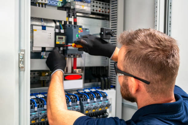 Best Electric Panel Repair  in Oronoco, MN