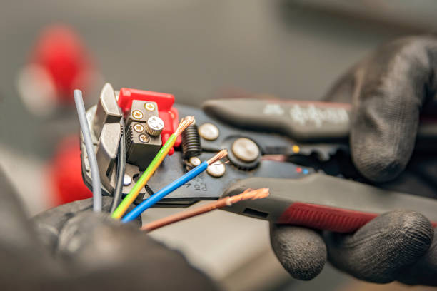 Best Electrical Wiring Services  in Oronoco, MN