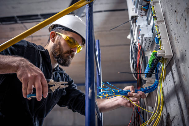 Best Local Electrician Companies  in Oronoco, MN