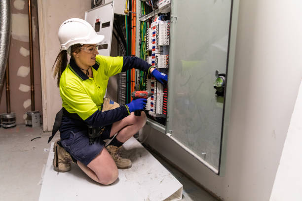 Best Electrical Troubleshooting Services  in Oronoco, MN
