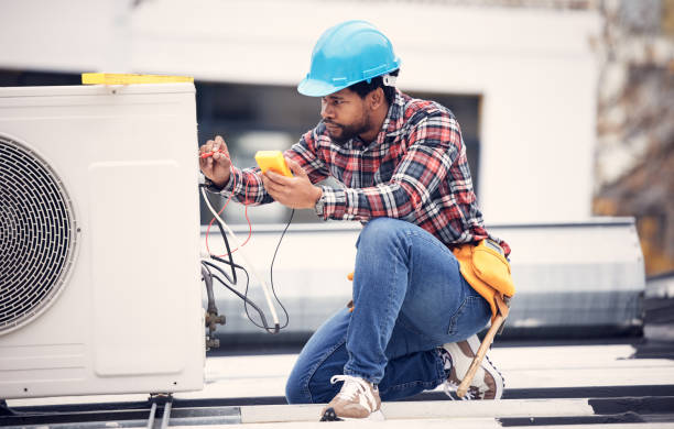Best Affordable Emergency Electrician  in Oronoco, MN