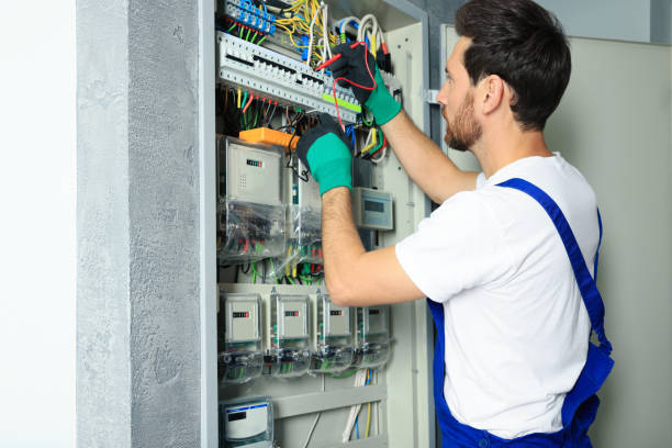 Best Electrical Troubleshooting Services  in Oronoco, MN