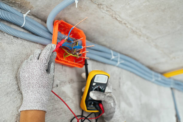 Best Local Electrician Companies  in Oronoco, MN